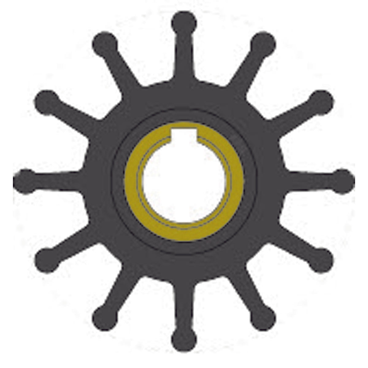 Albin Pumpenlaufrad 65 mm 06-01-019 06-01-019 Jabsco 18327-0001 mm 65D x 15,8d x 1 x 51H