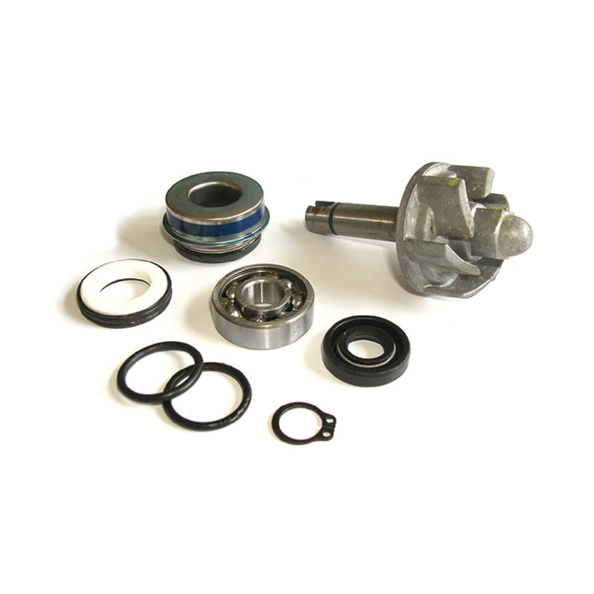 Kit revisione pompa Acqua APRILIA Leonardo / Leonardo ST 250 CC 99/04