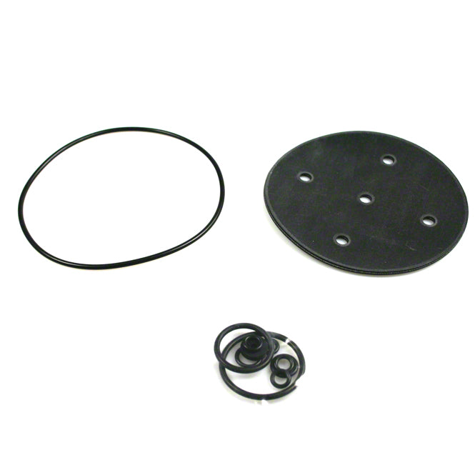 Kit di riparazione riduttore Bigas RI21