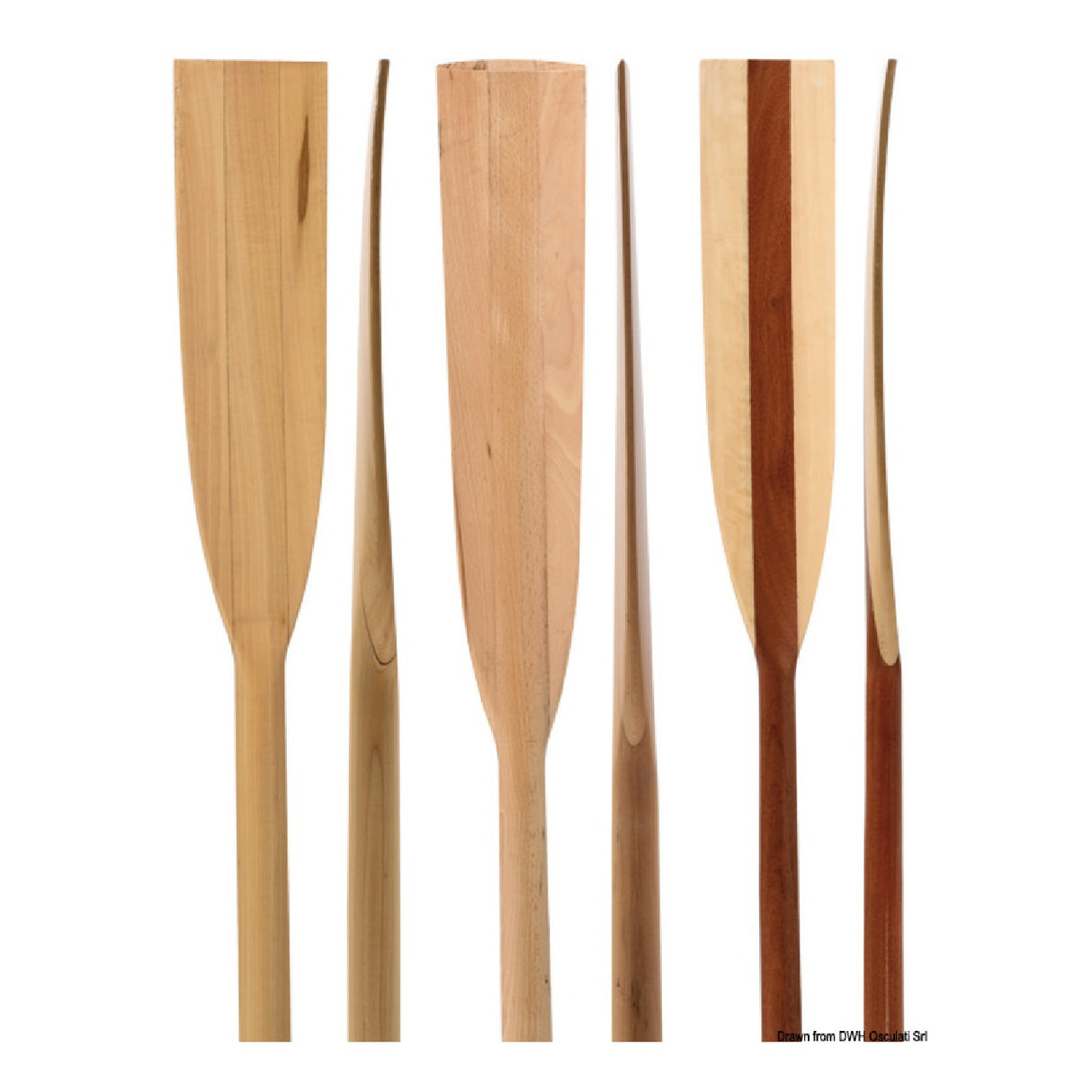 Osculati Oar in fir wood 34.458.22