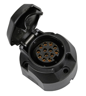 Lampa Presa 13 poli + 1 contatto retronebbia 38986