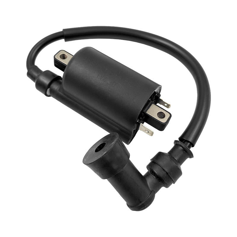 BCR Zündspule Sym Citycom 300 2008-2009