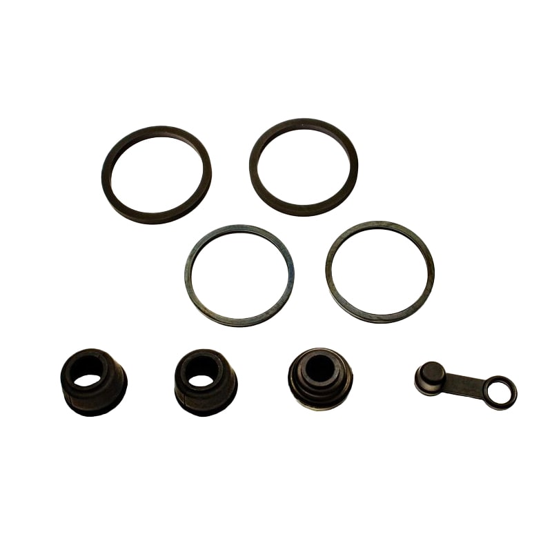 Blast Kit Revisione Pinza Freno Posteriore HONDA GOLDWING 1500 - [BCF-108]