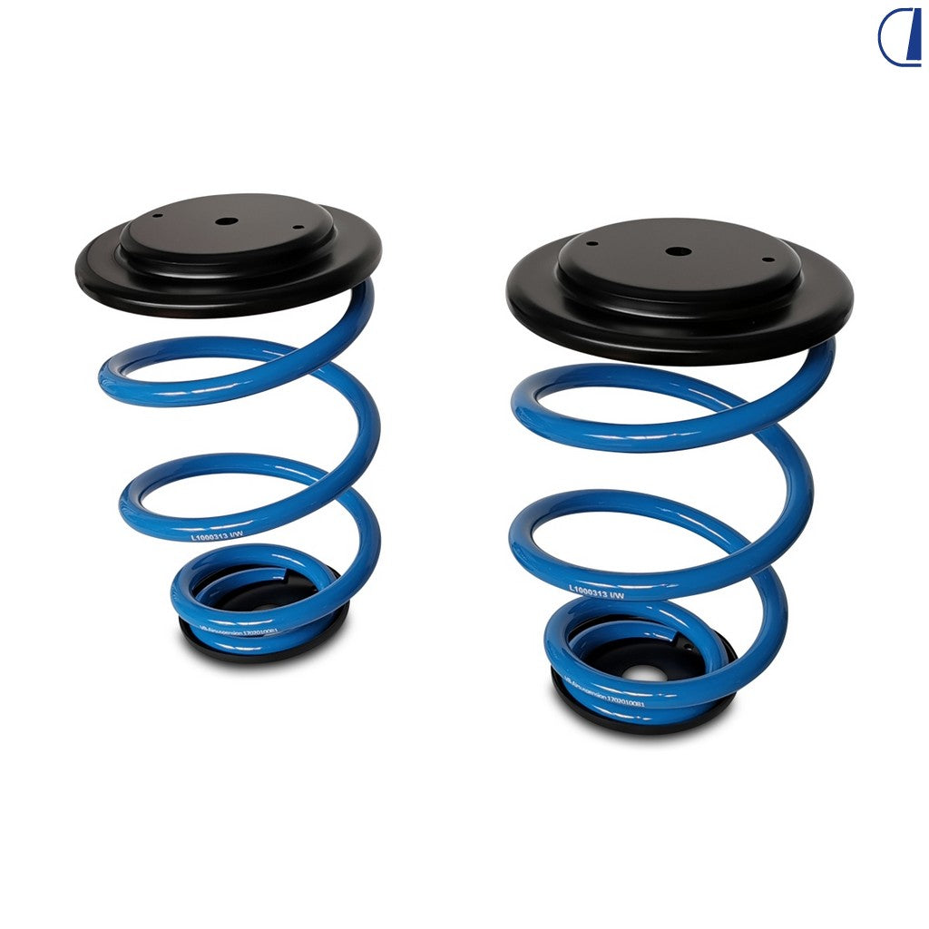 Di-Tec Molle posteriori di rinforzo per Fiat Ducato X250 / X290
