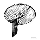 Osculati Ánodo de aleta para Mariner/Yamaha 20/50 HP 43.256.00