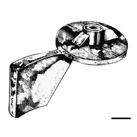 Osculati Pinna anodo Yamaha/Mariner 100/225 HP 43.270.00