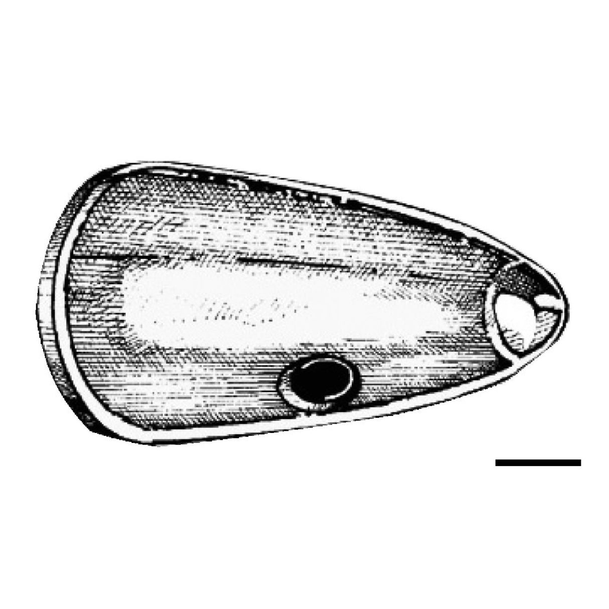 Osculati Ogiva in zinco per Elica Volvo 43.513.00