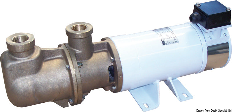 Bomba eléctrica autocebante monotornillo de bronce electromecánica CEM de 24 V