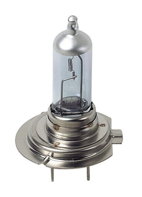 Pilot 12V Lampada alogena Xenon - H7 - 55W - PX26d - 2 pz - Scatola Plast.