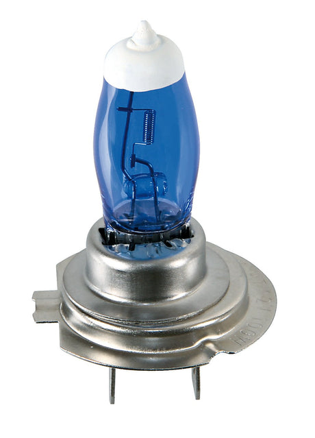 Pilot 12V Xenium Race Bonus-Pack - (H1) - 100W - P14,5s - 2 pz - Scatola Plast.