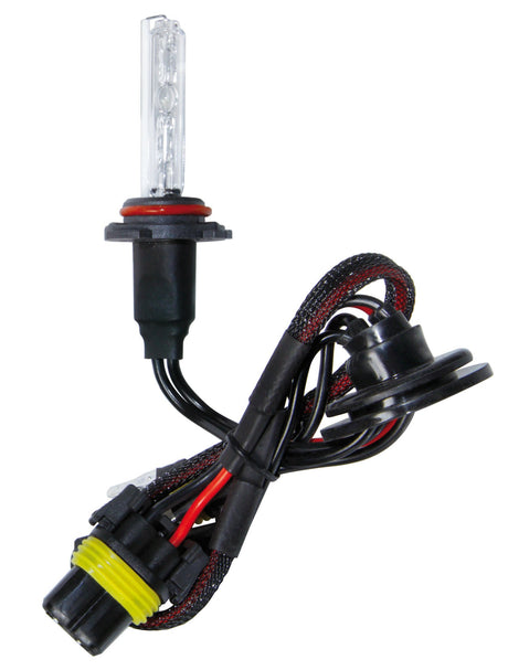 Pilot 12/24V Lampadina HID Xenon 8.000K - H10 - 1 pz - Scatola