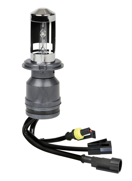 Pilot 12/24V Lampadina HID Xenon 5.000K - H4 - 1 pz - Scatola
