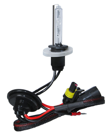 Pilot 12/24V Lampadina HID Xenon 8.000K - H1 - 1 pz - Scatola