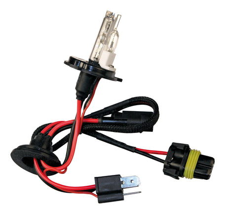 Pilot 12V Lampadina HID Xenon 5.000K - H4 - 1 pz - Scatola - (Bi-Lampada)