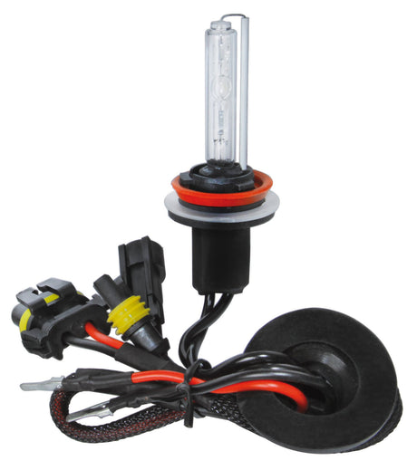 Pilot 12/24V Lampadina HID Xenon 8.000K - H8 - 1 pz - Scatola