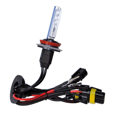 Pilot 12/24V Lampadina HID Xenon 8.000K - H9 - 1 pz - Scatola