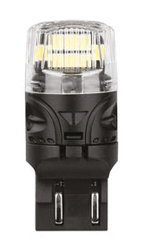 Pilot 12V Ultra-Lumen Series - (W21/5W) - W3x16q - 2 pz - Scatola - Bianco - Doppia polarità - Resistenza incorporata