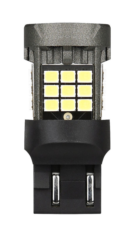 Pilot 12/24V Pro-User Series - (W21/5W) - W3x16q - 1 pz - Scatola - Bianco - Doppia polarità - Resistenza incorporata