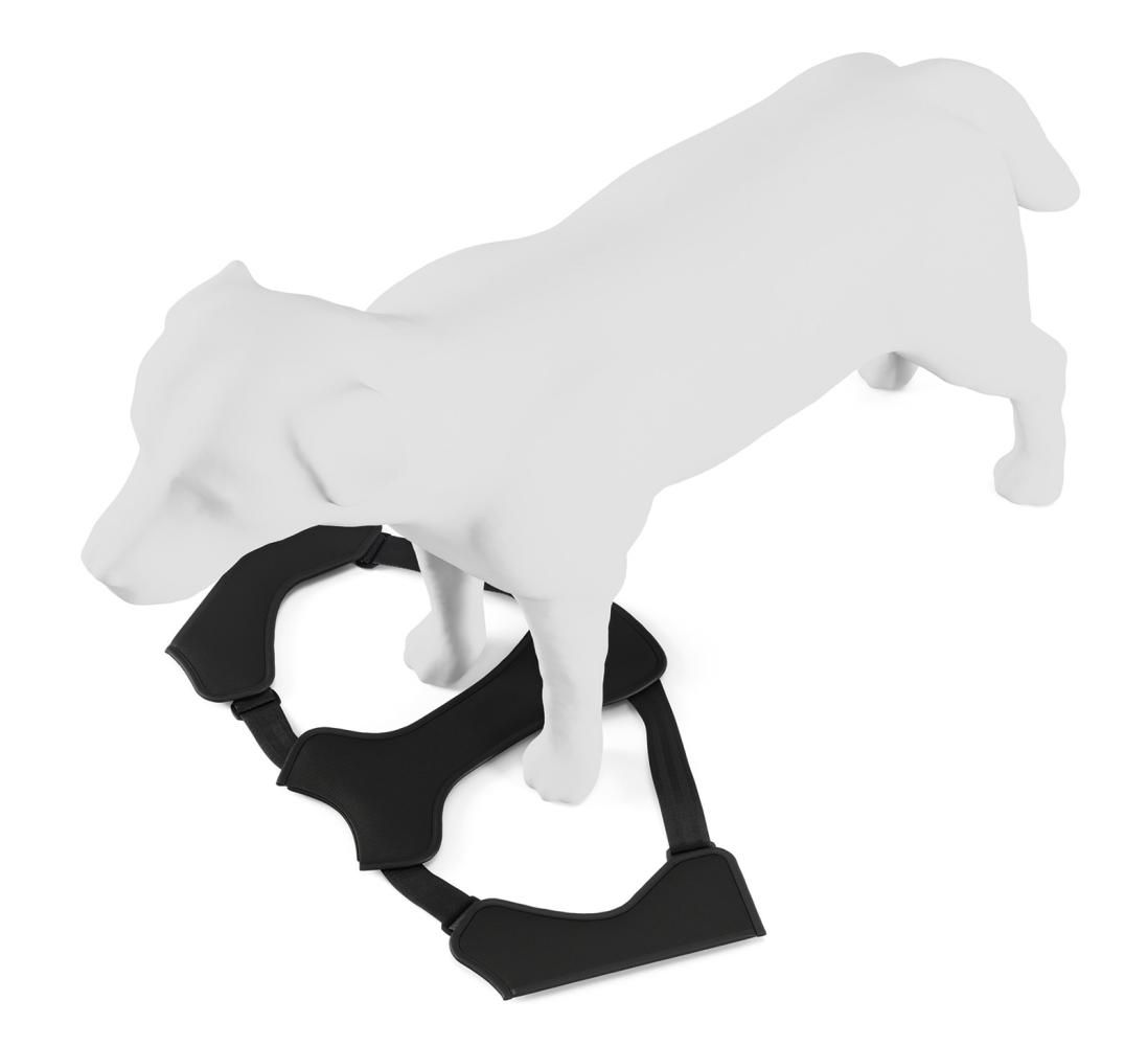 Arnés para perros Thule Cappy S