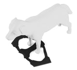 Arnés para perros Thule Cappy S