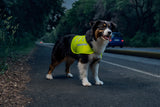 Lampa Dog Safety vest, veste riflettente ad alta visibilità - XL 60485