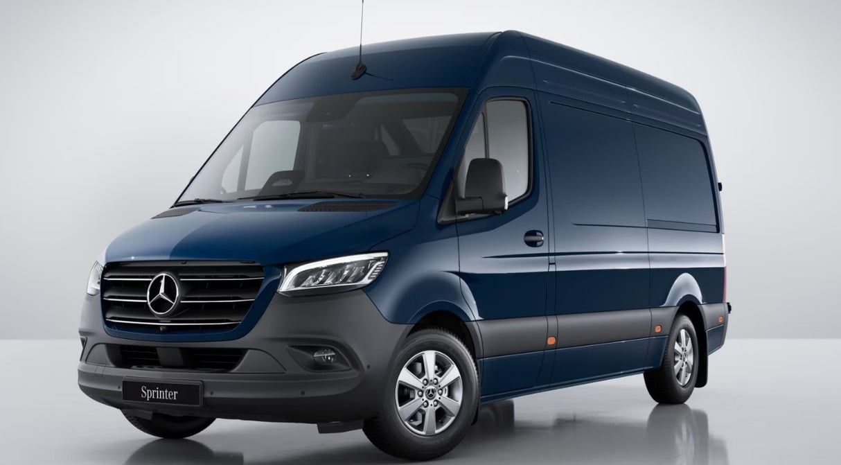 Coppia tappetini entrata Sprinter 00>06 8032793930563