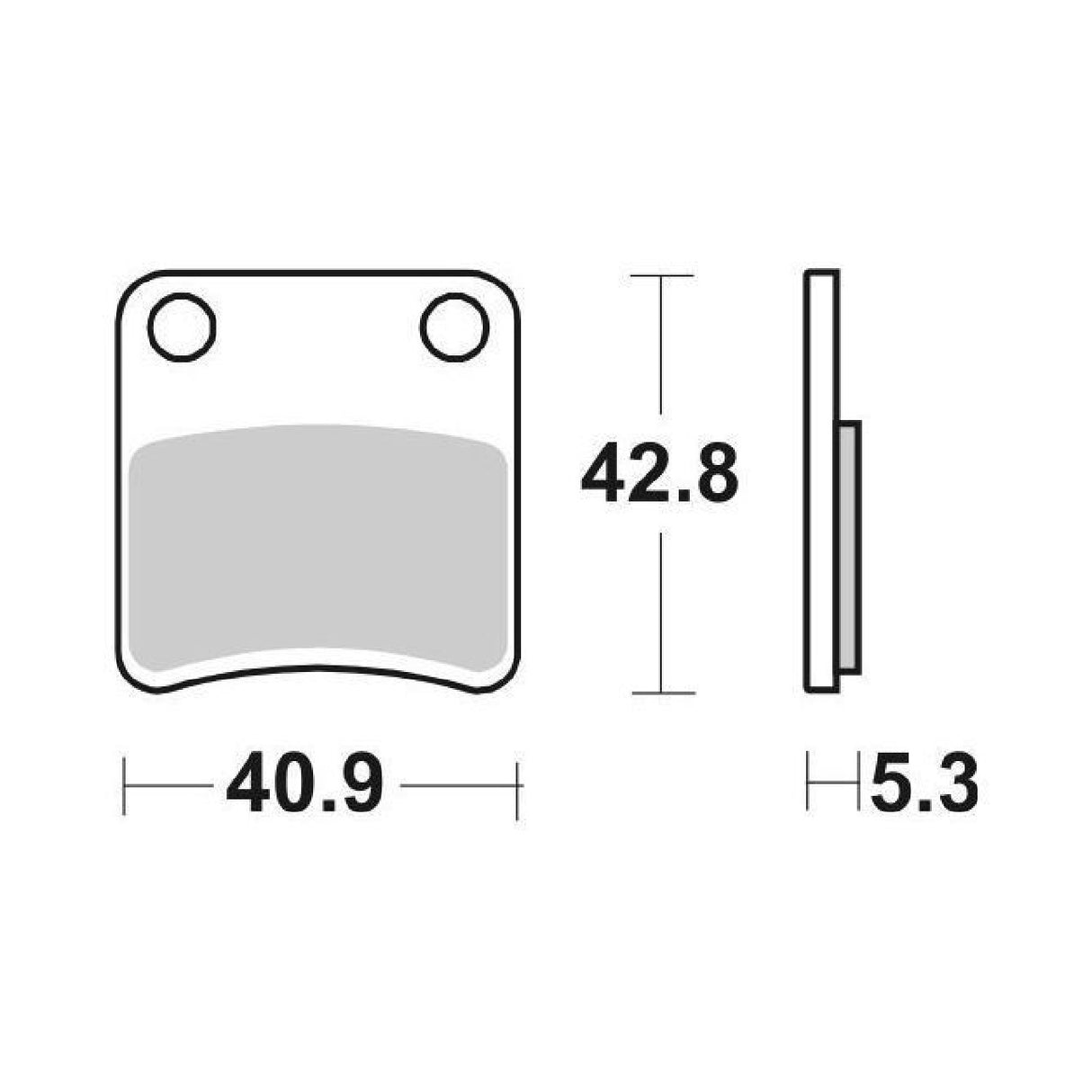 SBS 209HF Brake Pads BMW C Sport (K18) 600 CC 12/15