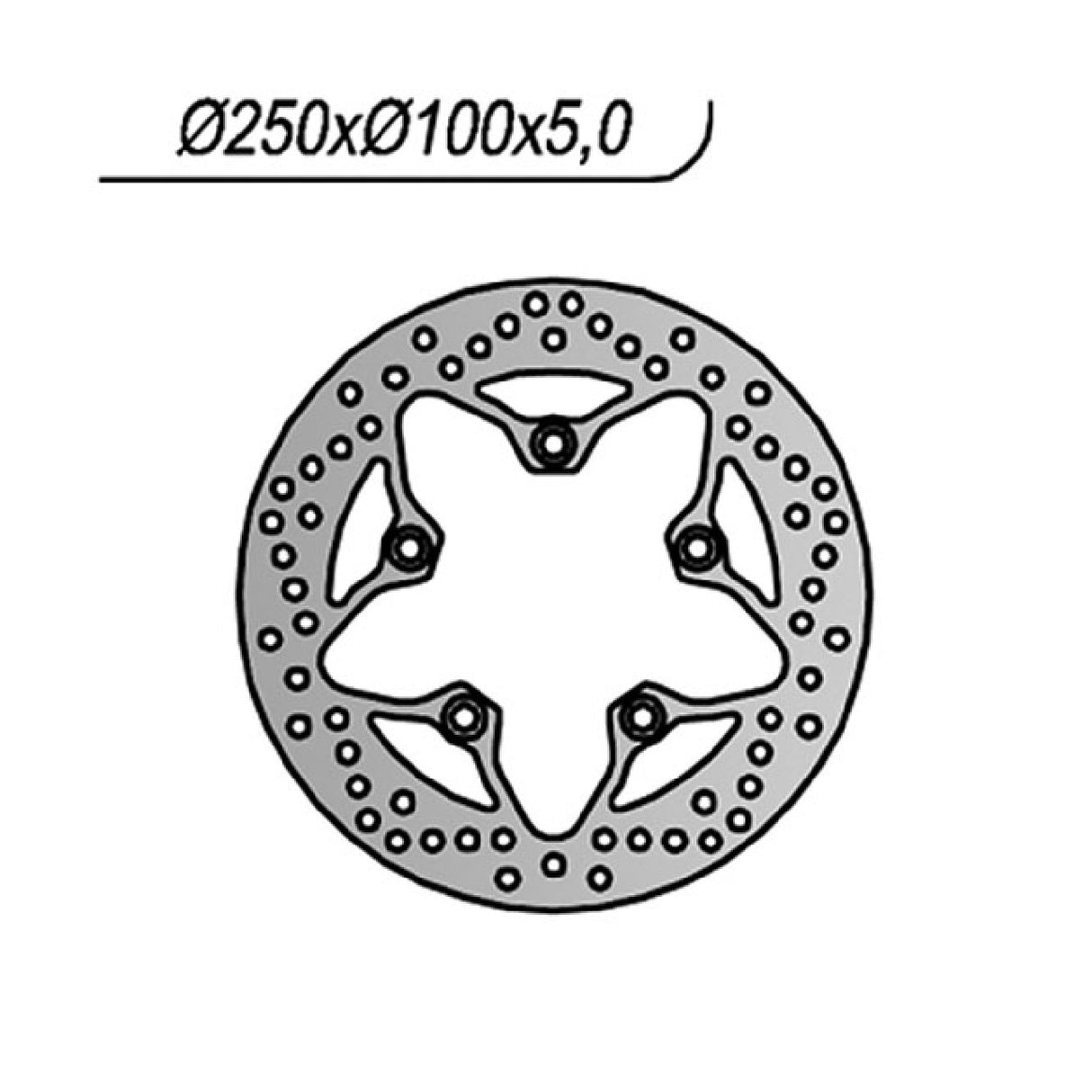 NG 1262 Disco Freno KAWASAKI ZRX R 1200 CC 01/08