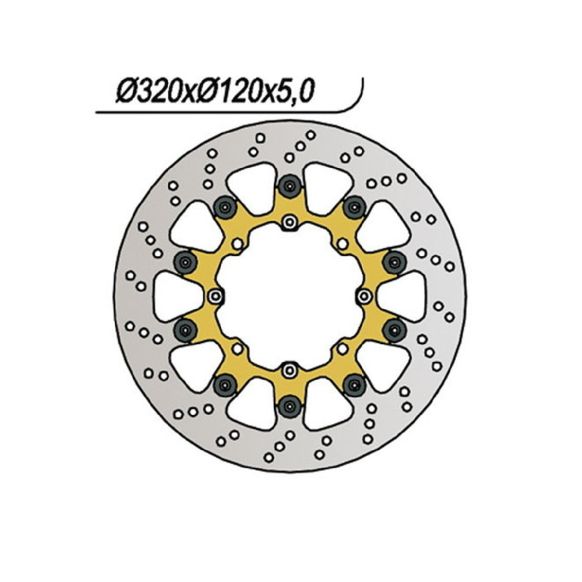 NG 722 Disco de Freno BETAMOTOR RR SM (Motor KTM) 250 CC 05/06