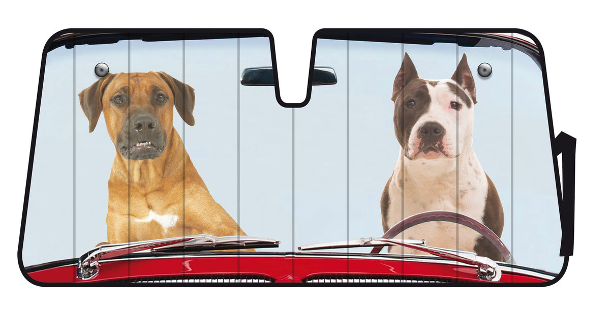 Lampa Scudo termico per parabrezza - 68x147 cm - Two Dogs 66866