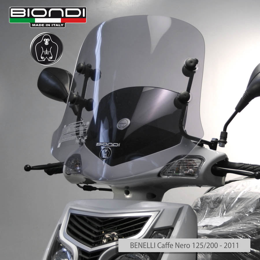 Biondi Cupolino Little Club Piaggio Diesis 50/100 cc 2001 con Attacchi