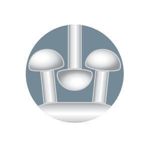 Lampa Adesivi auto-accoppianti, set 25 coppie 74649