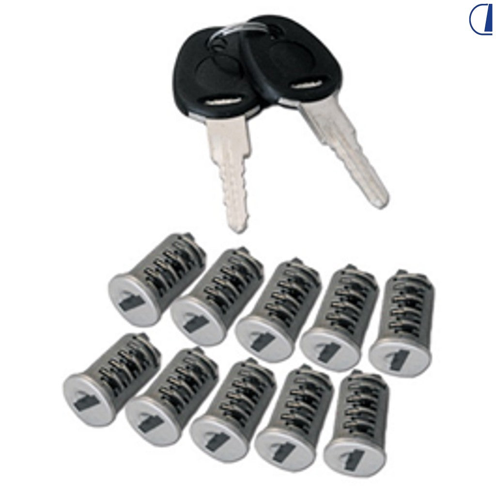 Zadi Kit 10 cilindretti New System con chiavi – stessa numerazione