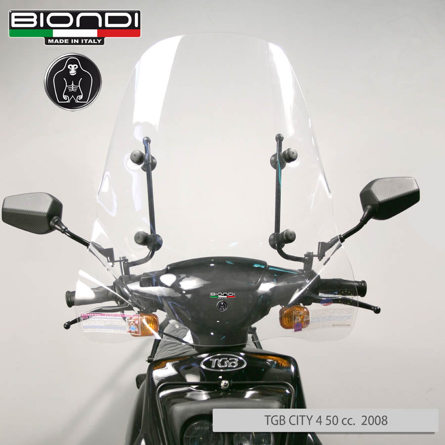 Biondi Parabrezza Pro Renault Sport Campus 50 cc. 2002 con Attacchi