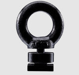 Kit de montaje con perno de ojo para Thule Caprock