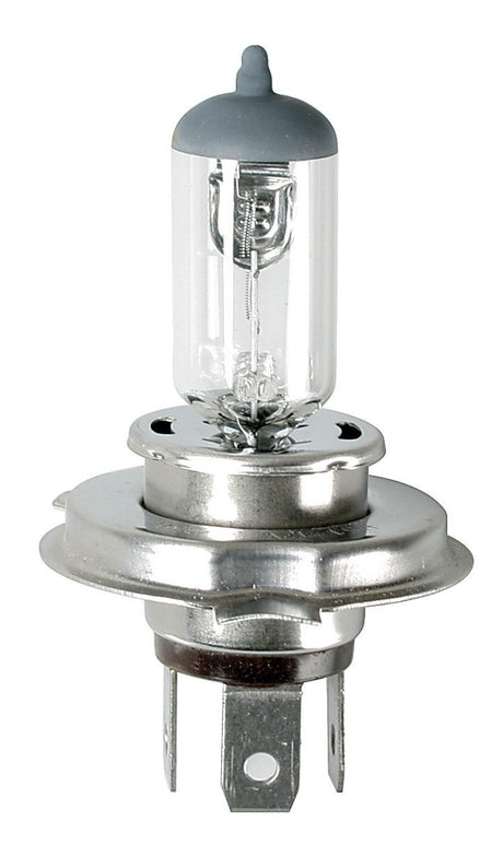Lampa 12V Lampada alogena - HS1 - 35/35W - PX43t - 1 pz - D/Blister 91505