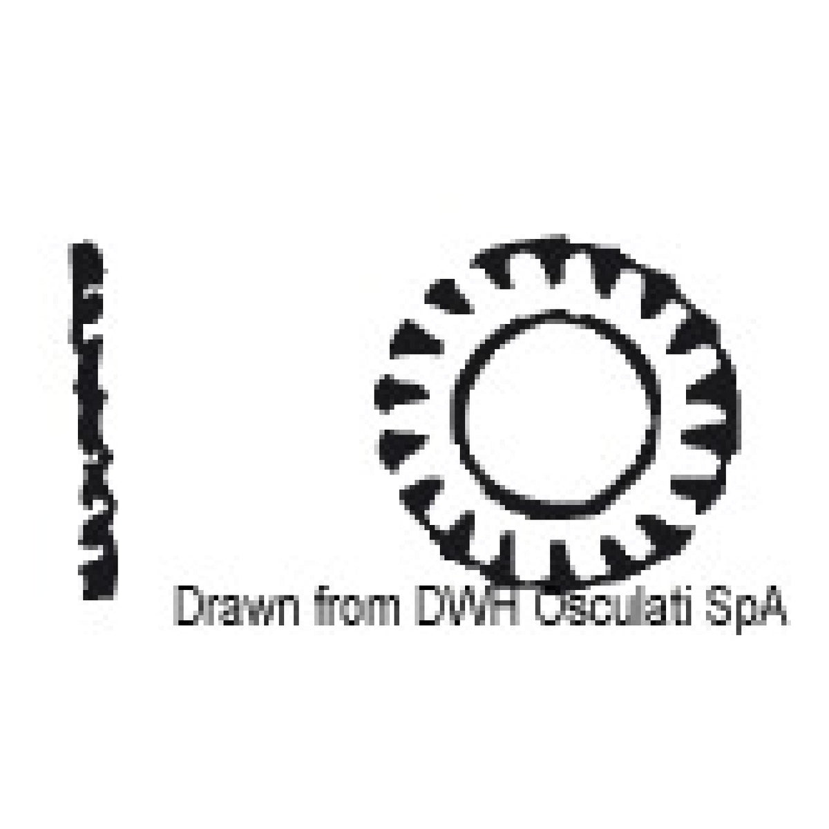 Osculati Rondelle dentellate DIN 6798 ASI304 A2-6798-04
