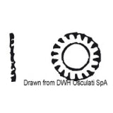 Osculati Toothed washers DIN 6798 ASI304 A2-6798-04