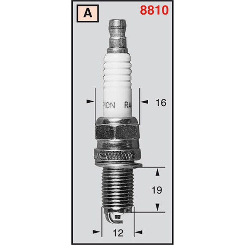 Champion Candela Champion Ra59Pp CC17500