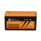 Liontron Batteria Camper LITIO 100 Ah con BMS