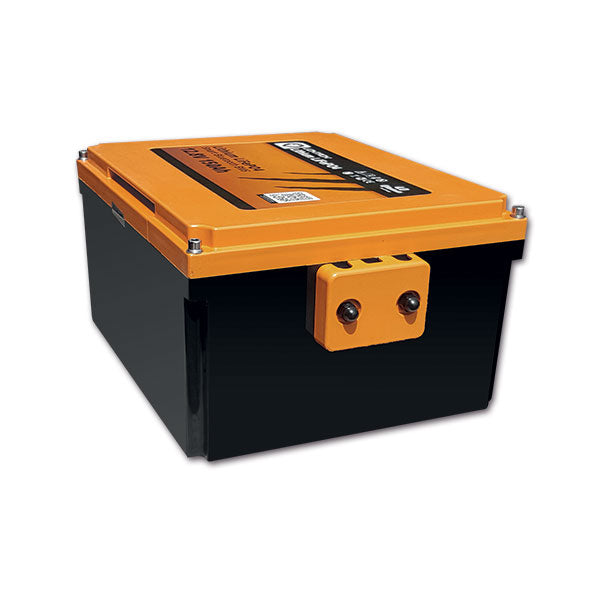 Liontron Batteria Camper 12,8 V 300 Ah con BMS per Ducato