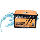 Batteria Liontron LiFePO4 "All in One" 200Ah 12,8V  IP67 con BMS e Bluetooth 390232260 mm