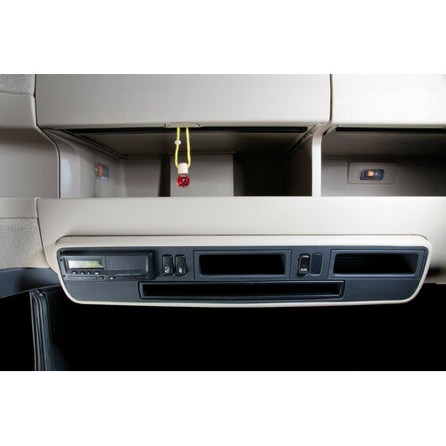 Bonsai-Lampe, Deodorant – Zitrone