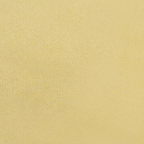 Pro-Clean Lampe – 40 x 35 cm – Trockentuch – Wildleder