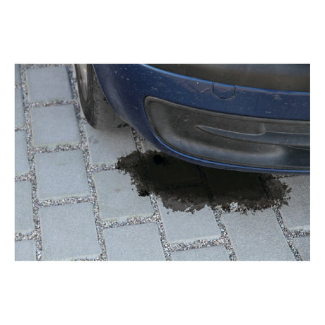 Lampa Sepiolite, general absorbent for soil and asphalt, 20Kg