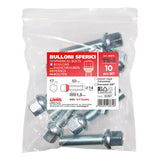 Pilot Set of 10 Ball Bolts - TS3 - Envelope