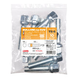 Pilot Set 10 bulloni sferici - TS6 - Busta