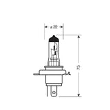 Pilot 12V Lampada alogena Blu-Xe - H4 - 60/55W - P43t - 2 pz - D/Blister