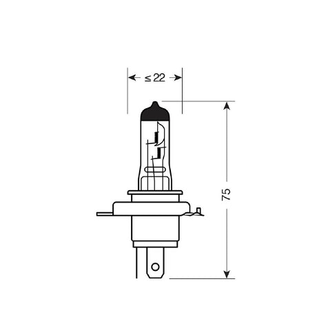 Pilot 12V Lampada alogena Blu-Xe - H4 - 60/55W - P43t - 2 pz - D/Blister