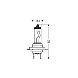 Pilot 12V Lampada alogena Blu-Xe - H7 - 100W - PX26d - 2 pz - D/Blister